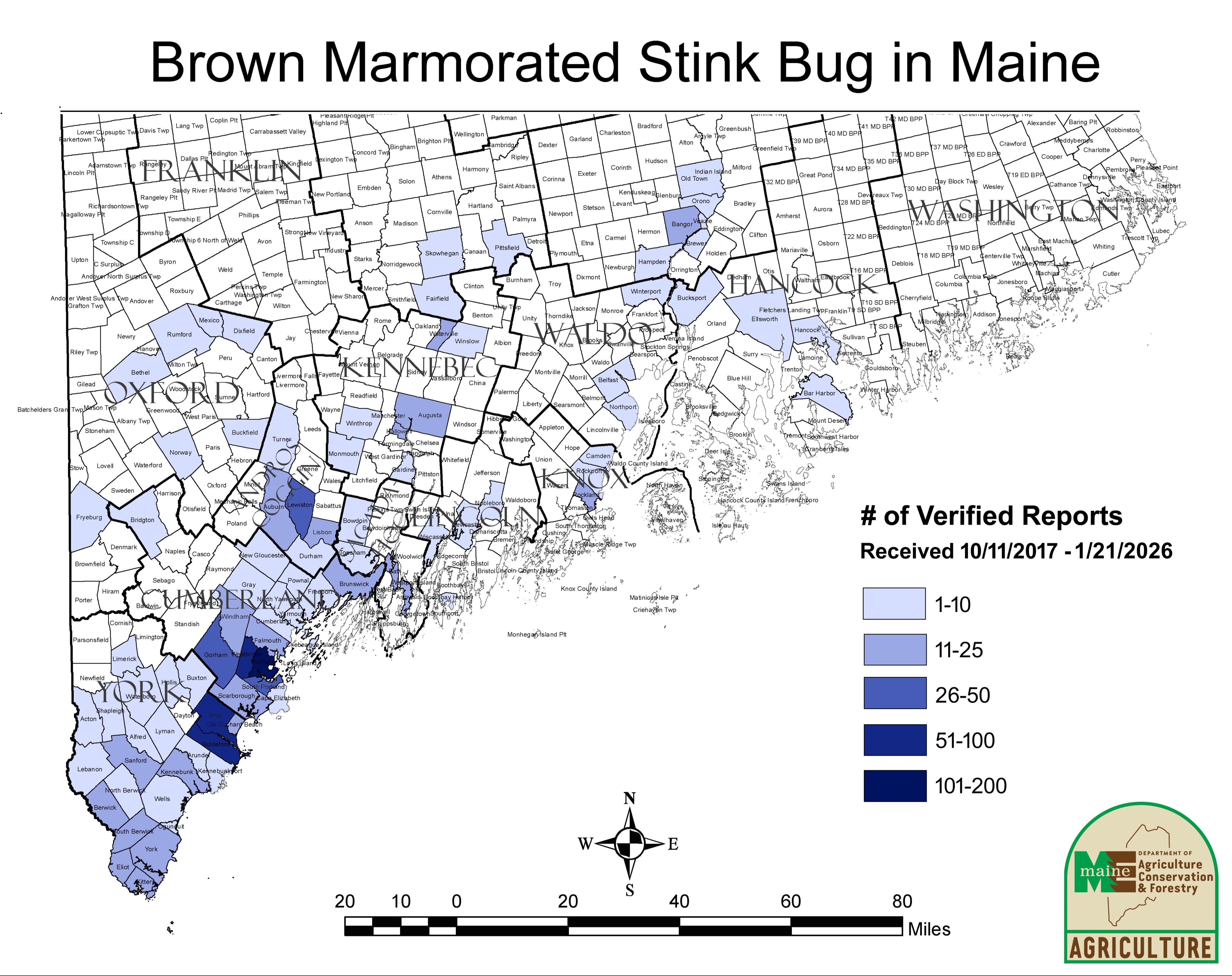 map of brown marmorated stink bug reports in Maine